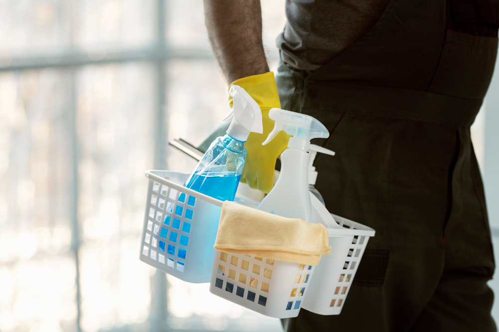 Professional cleaner at work in a clean room
